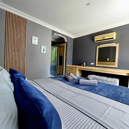 Summer Rose سيدي