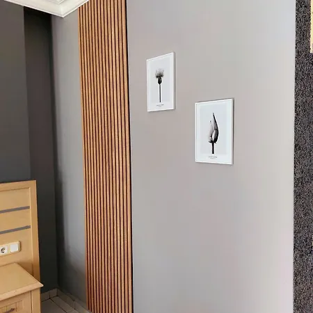 호텔 Summer Rose 3*